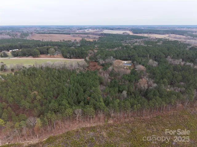 a view of a yard with plants and a bench