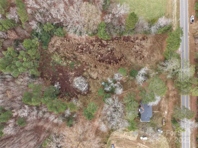 a close up of a plant