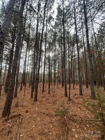 a view of park with trees