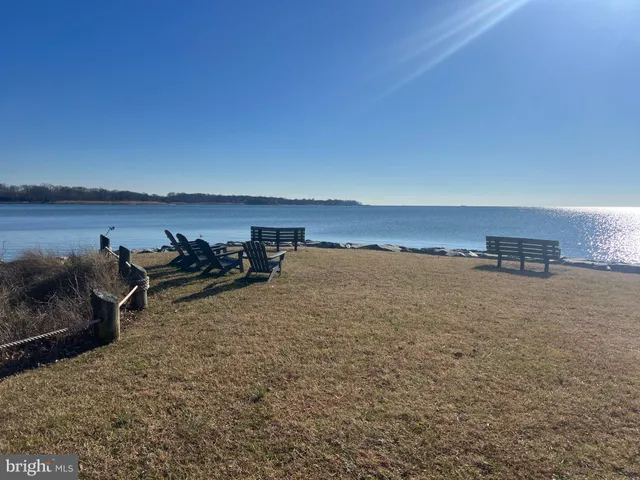 a park with tall trees in the background