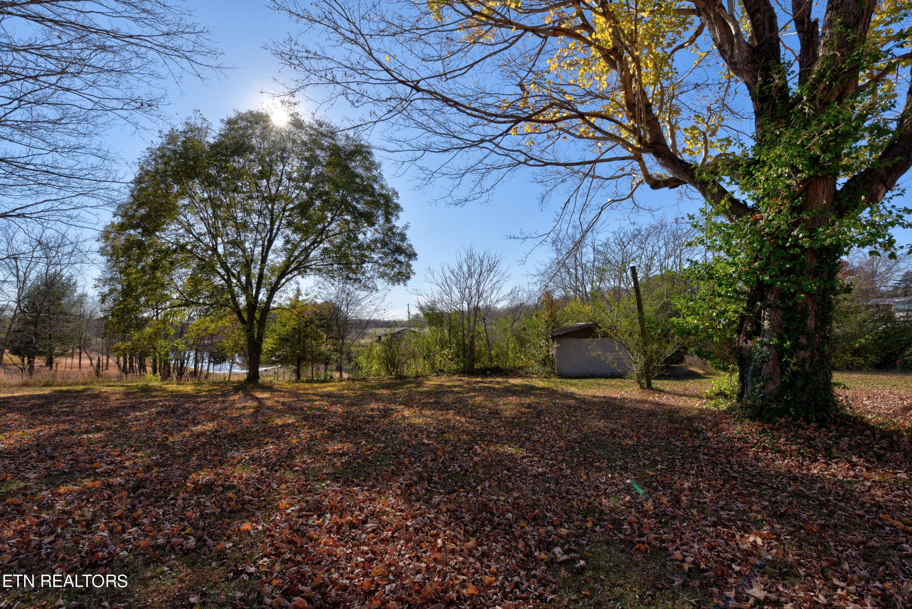 642 Vandever Road Crossville, TN 38572 - Photo 7 of 23 BACKYARD