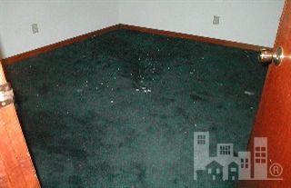 207 Cardiff Road Castle Hayne, NC 28429 - Photo 2 of 5 Additional Photo