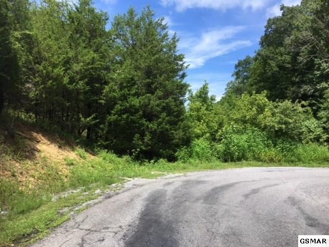 17 Buck Horn Road Sevierville, TN 37876 - Photo 6 of 7