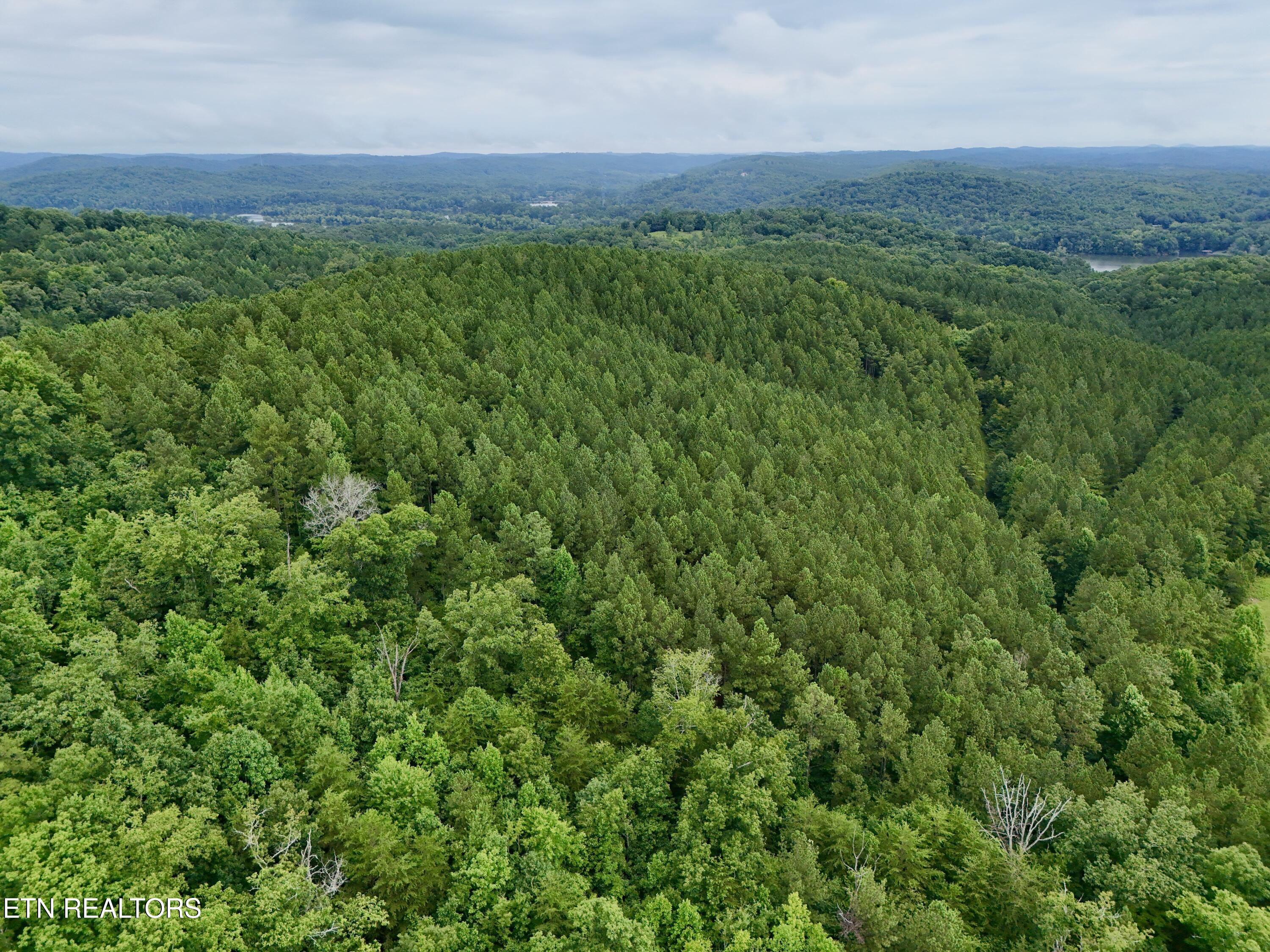 Northwest Eads Bluff Road Northwest Georgetown, TN 37336 - Photo 15 of 36 15