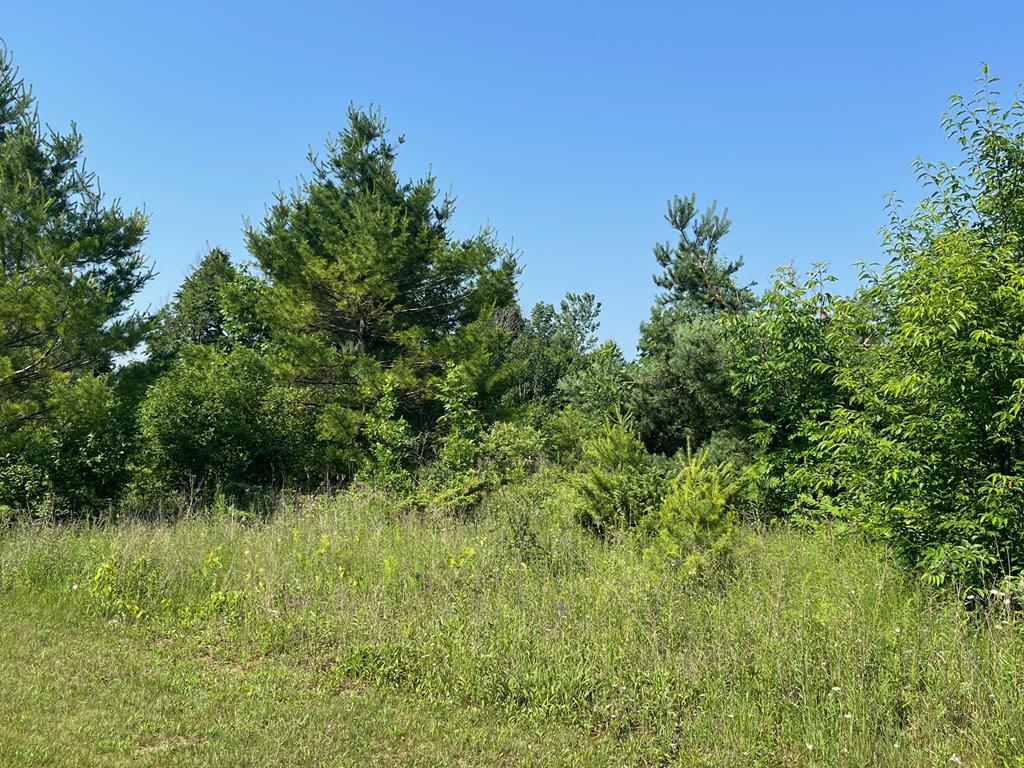 Orchards Trail Egg Harbor, WI 54209 - Photo 4 of 9