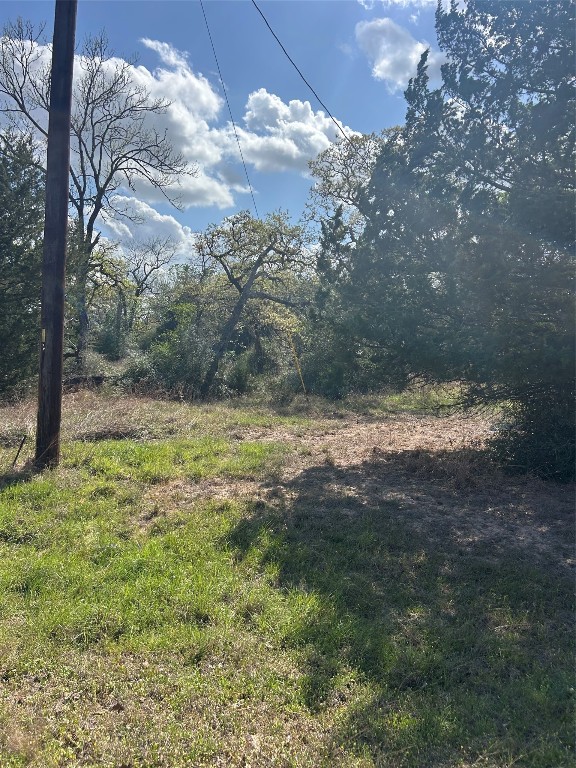 3060 Brunes Mill Road Columbus, TX 78934 - Photo 2 of 9 a view of a yard with an trees