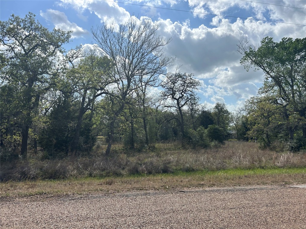 3060 Brunes Mill Road Columbus, TX 78934 - Photo 3 of 9 a view of a yard