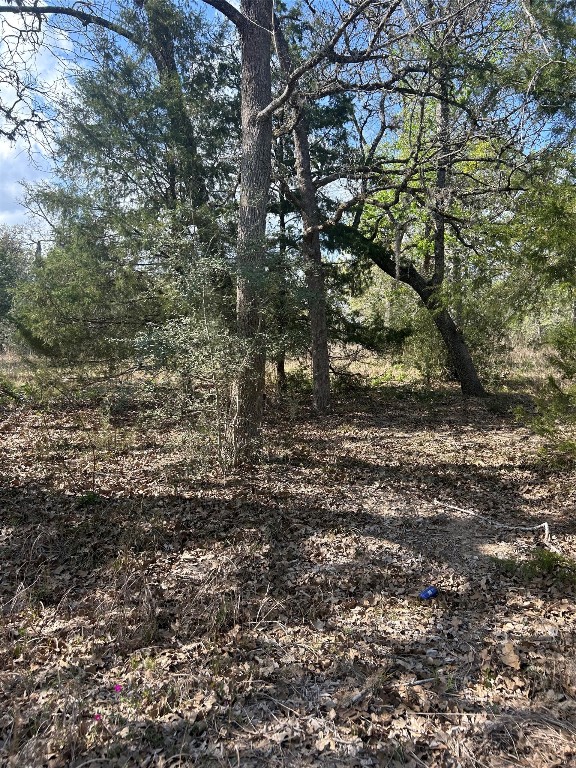 3060 Brunes Mill Road Columbus, TX 78934 - Photo 4 of 9 a view of a yard with plants and trees