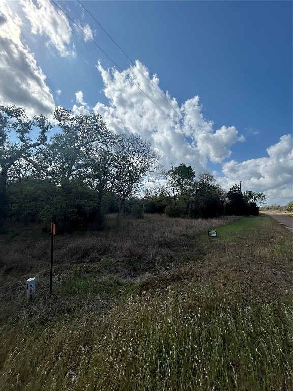 3060 Brunes Mill Road Columbus, TX 78934 - Photo 5 of 9 a view of outdoor space and yard
