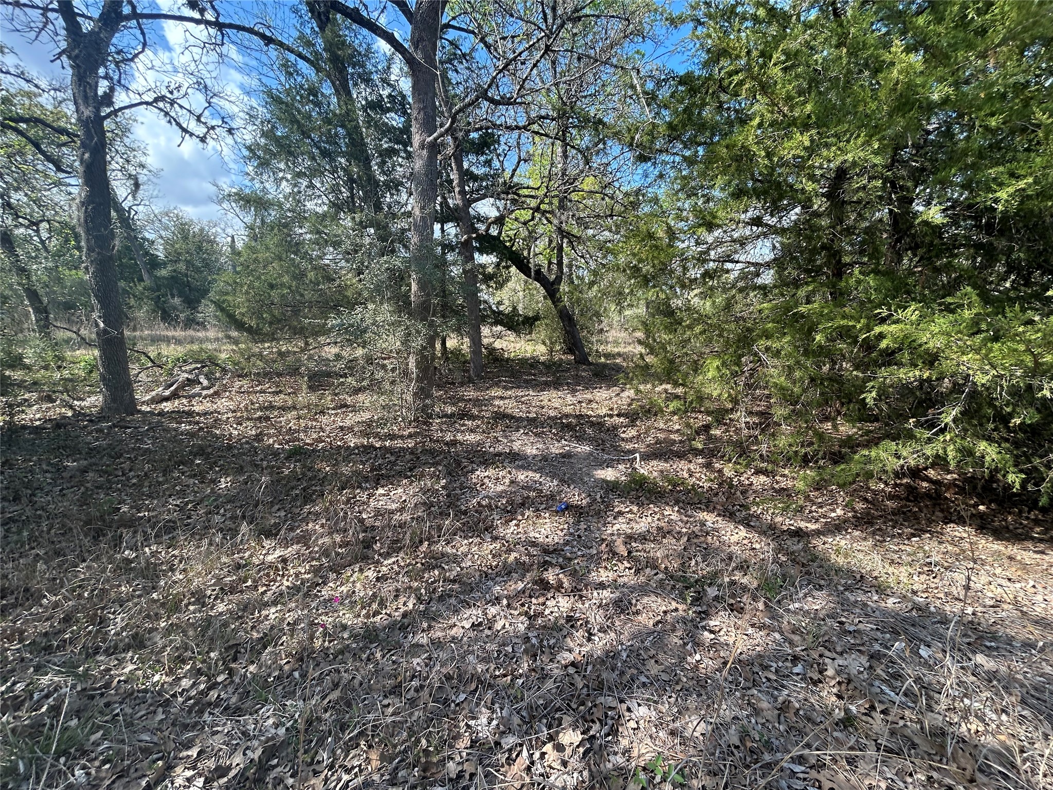 3060 Brunes Mill Road Columbus, TX 78934 - Photo 7 of 9