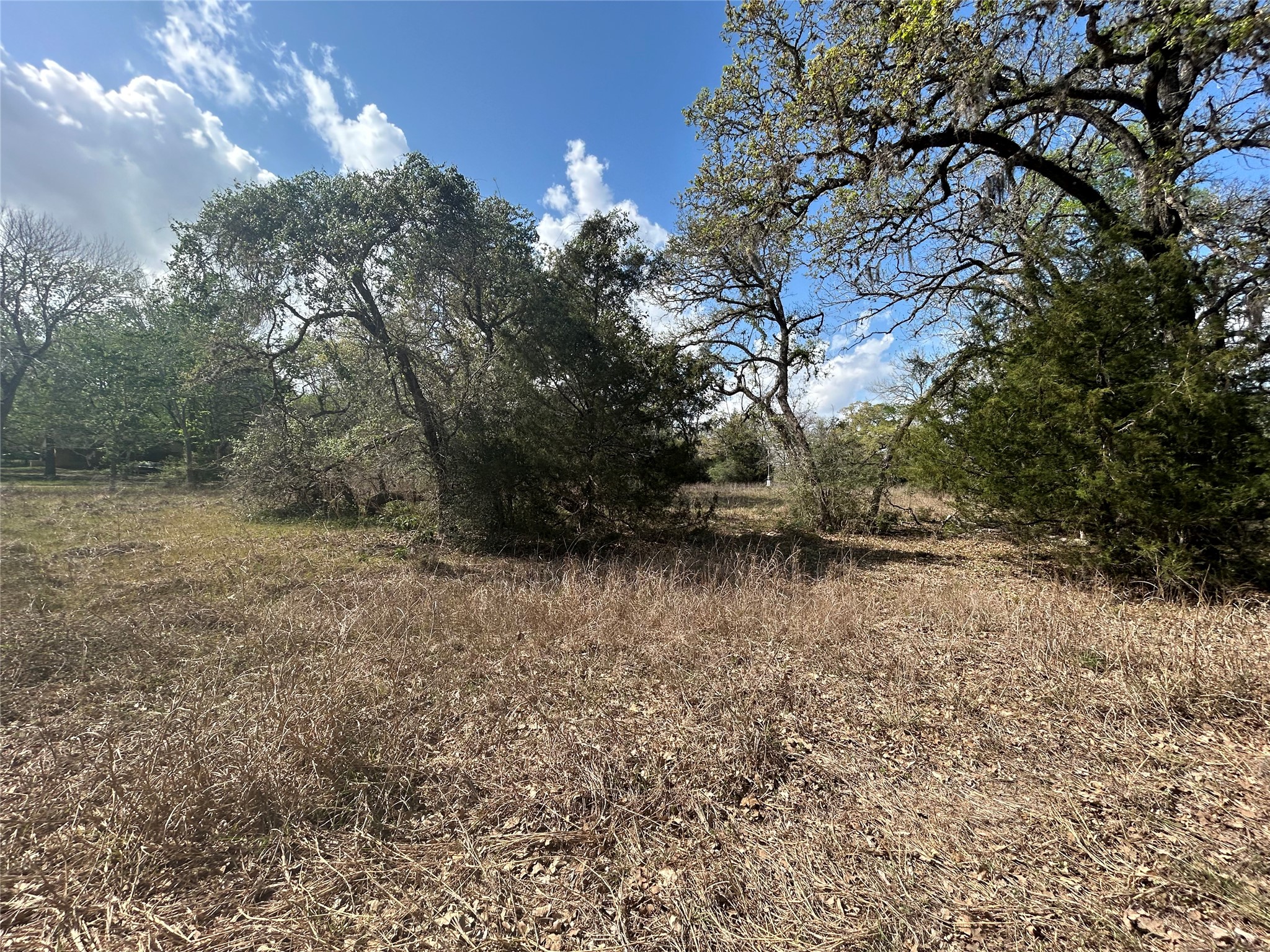 3060 Brunes Mill Road Columbus, TX 78934 - Photo 8 of 9