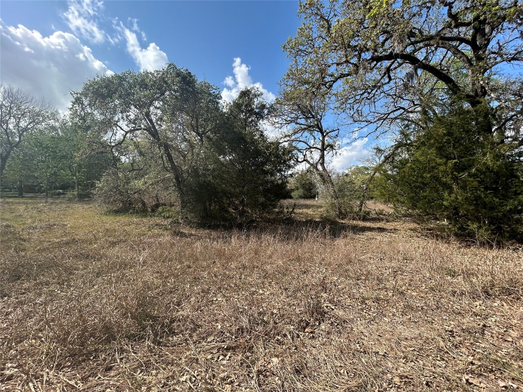 3060 Brunes Mill Road Columbus, TX 78934 - Photo 8 of 9 a view of lake with tree