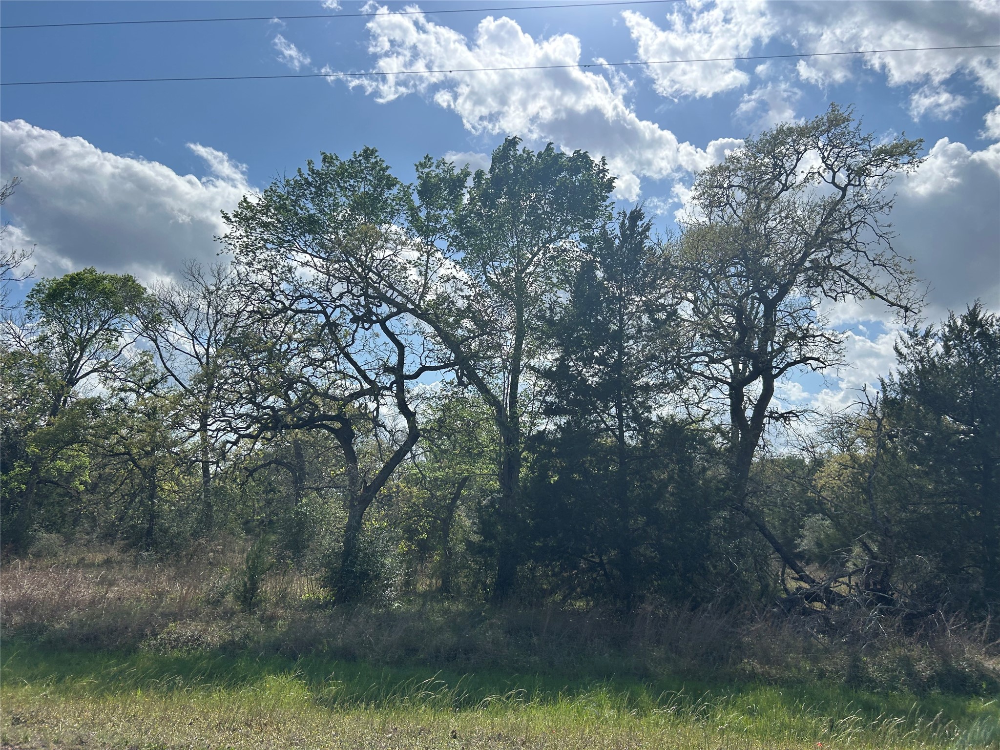 3060 Brunes Mill Road Columbus, TX 78934 - Photo 9 of 9