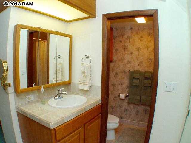 3975 Lower Honoapiilani Road, Unit 217 Lahaina, HI 96761 - Photo 23 of 25 Gallery Image 23