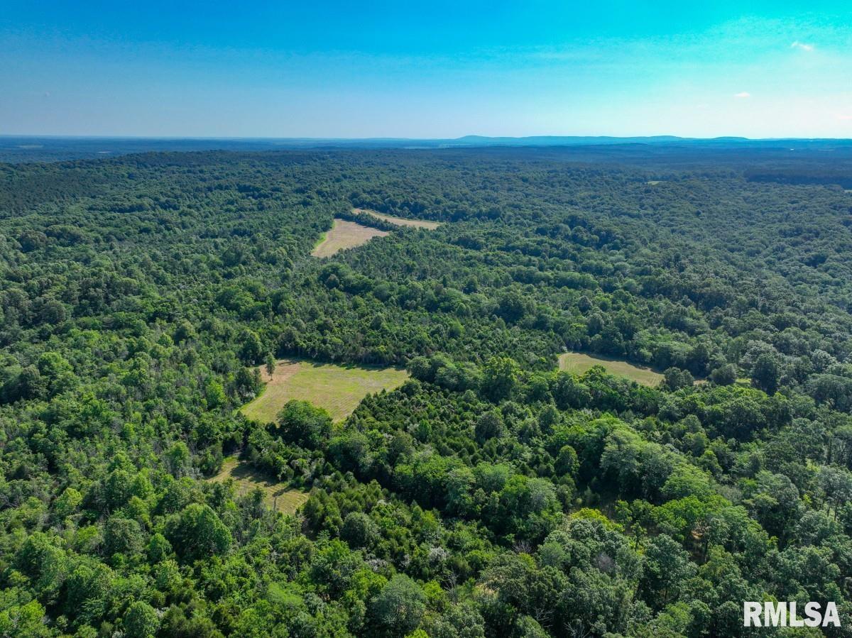 0 Tom Dick Hill Road Stonefort, IL 62987 - Photo 60 of 62