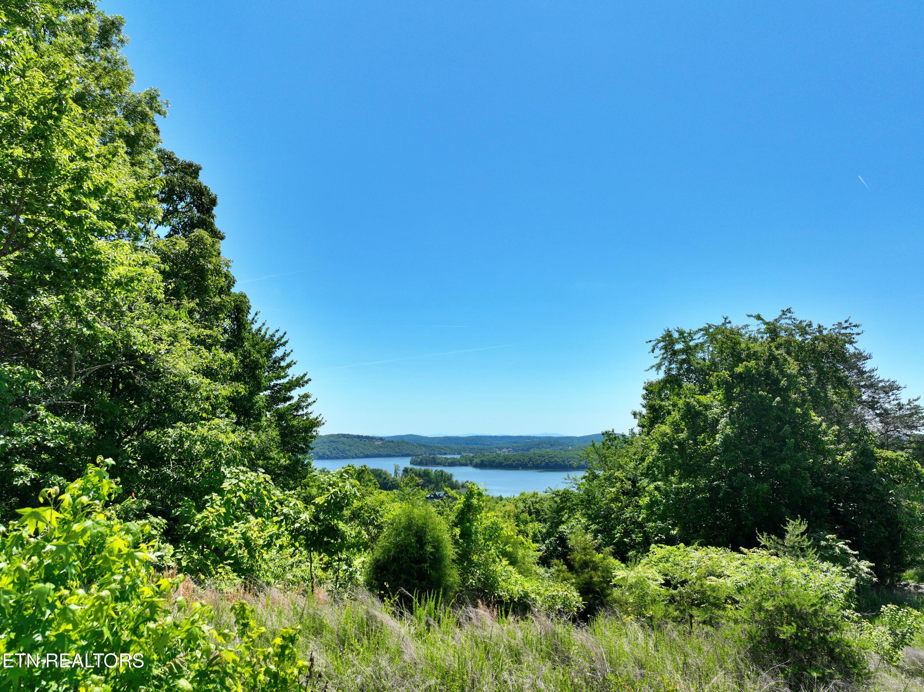 0 Flint Ridge Road Rockwood, TN 37854 - Photo 10 of 37 DJI_0609