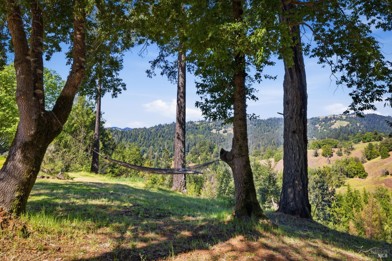 28812 Bohan Dillon Road Cazadero, CA 95421 - Photo 20 of 34