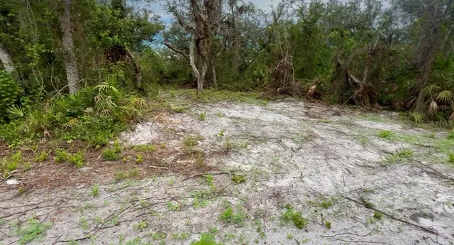 a view of outdoor space and trees