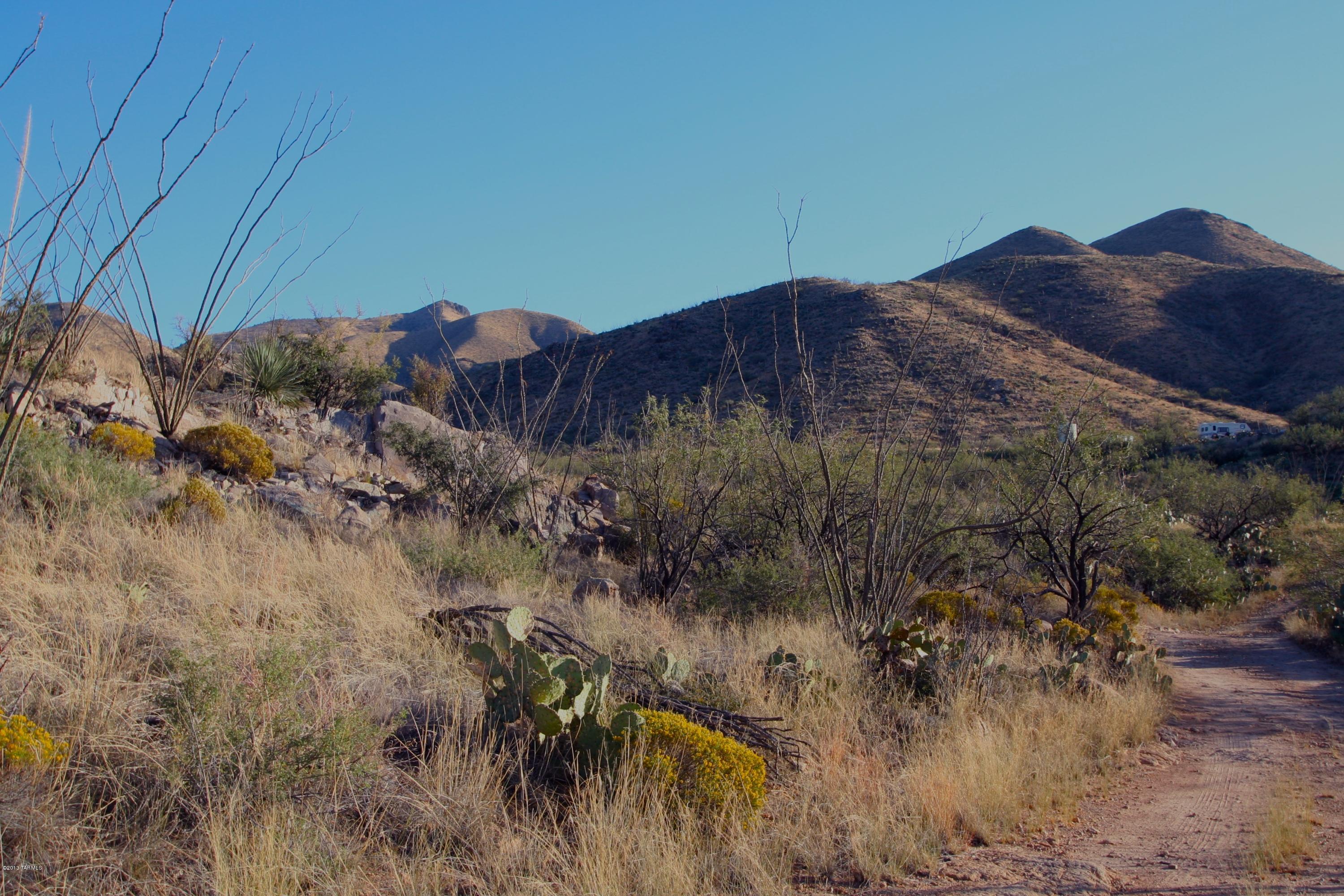 South Little Fawn Vail, AZ 85641 - Photo 1 of 12