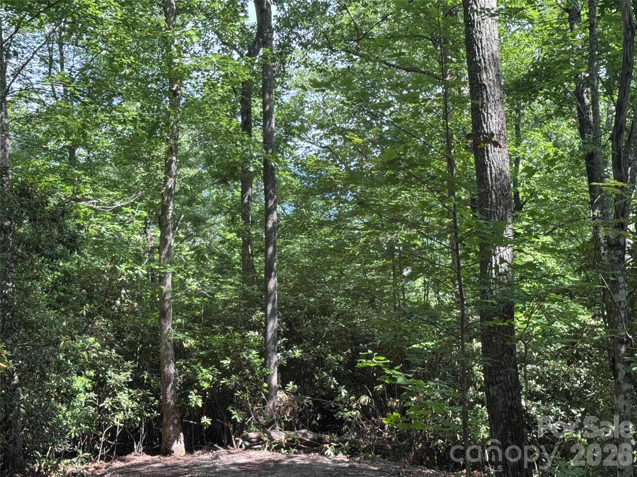 10 A Reserve Road Pisgah Forest, NC 28768 - Photo 25 of 33