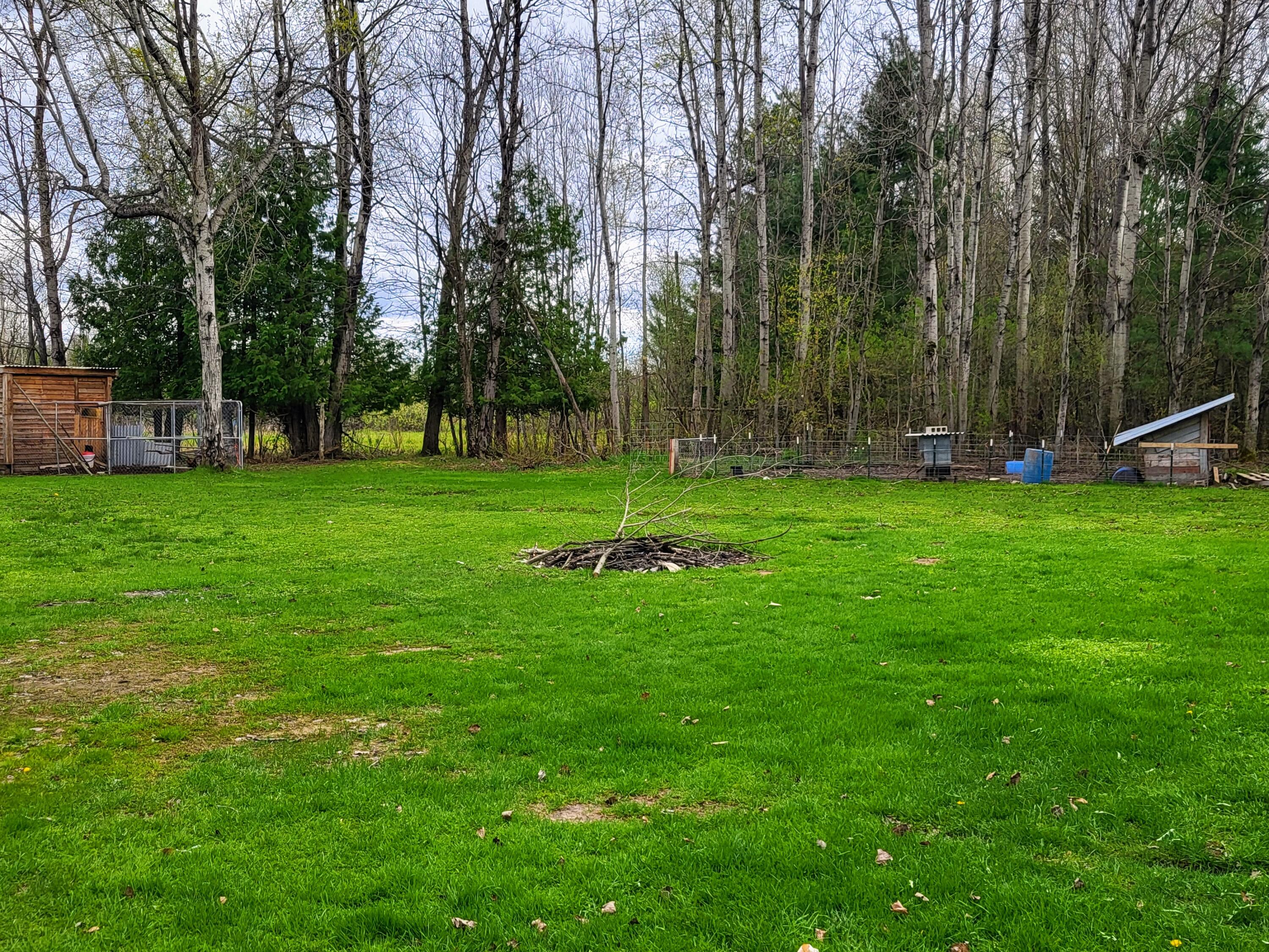 12496 Big 4 Road Bear Lake, MI 49614 - Photo 21 of 30 20260501_141627