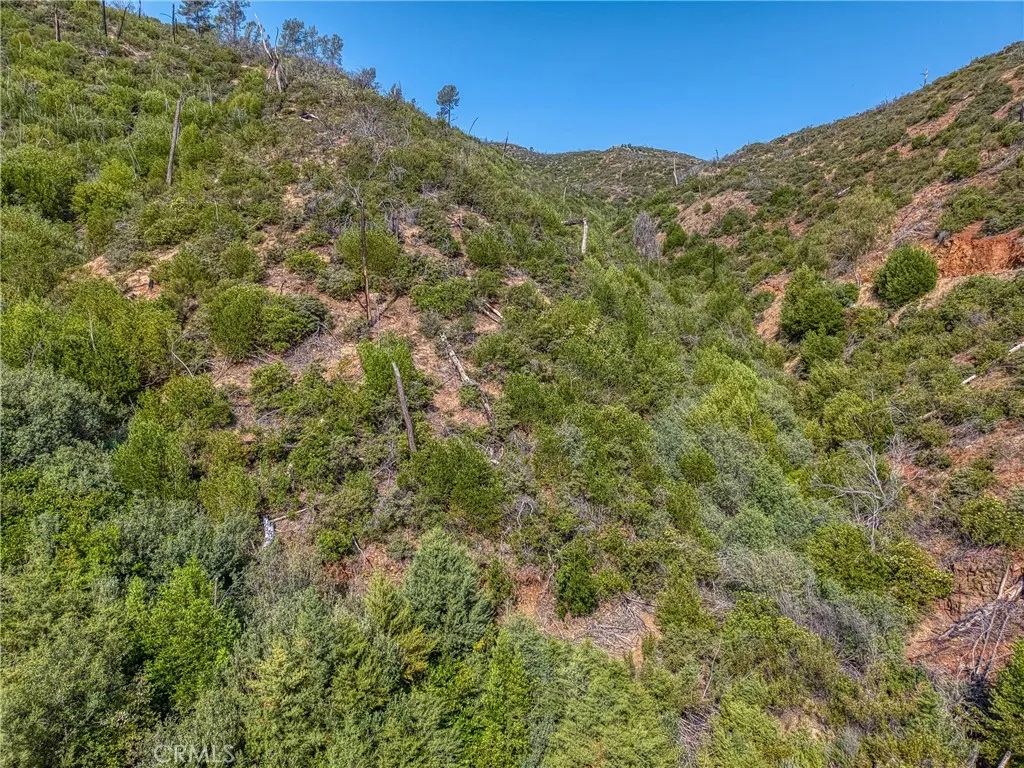 1 Butts Canyon Road Pope Valley, CA 94567 - Photo 51 of 60 Gallery Image 51