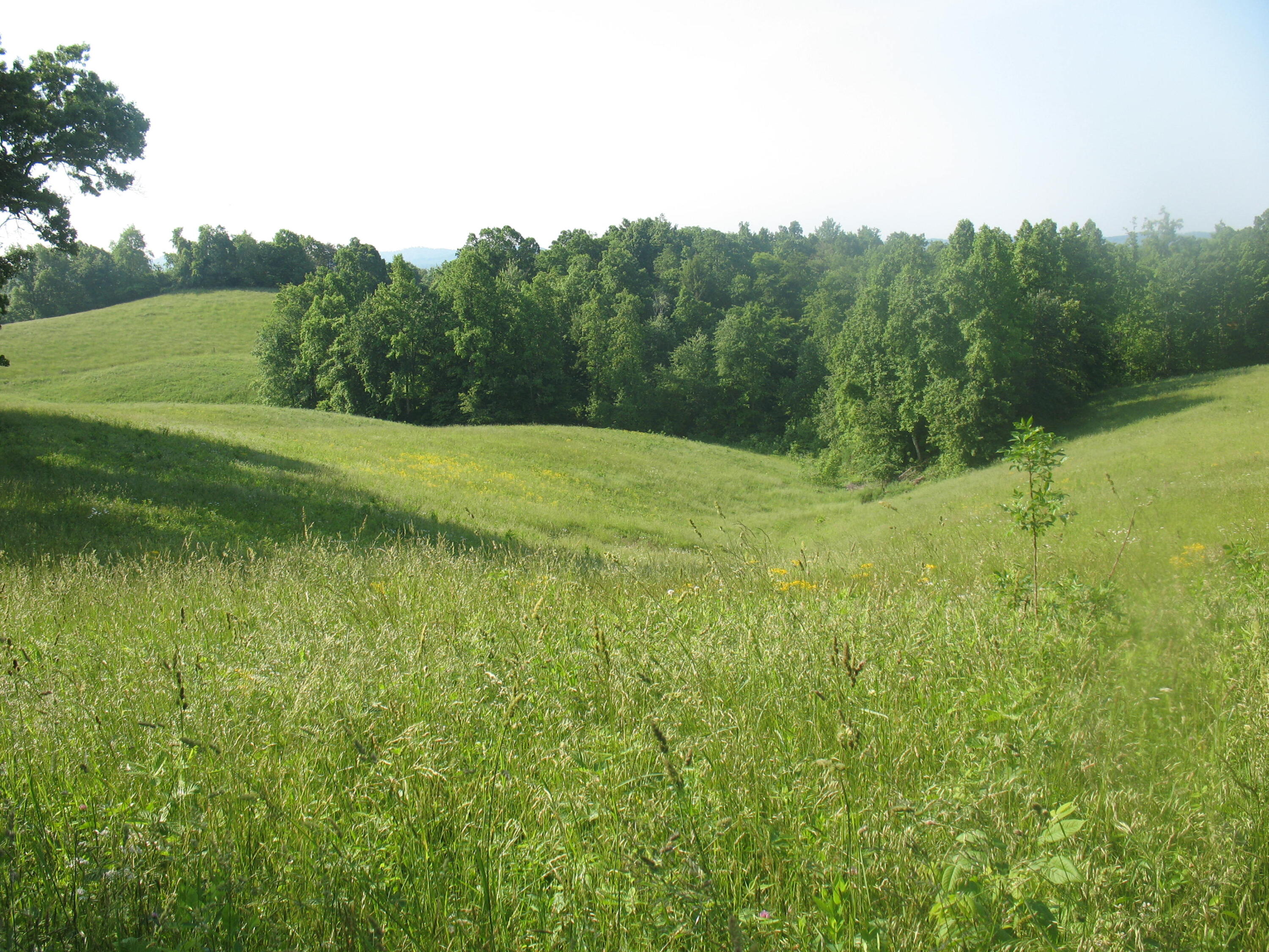 9999 Rudder Lane London, KY 40741 - Photo 14 of 33 IMG_4314