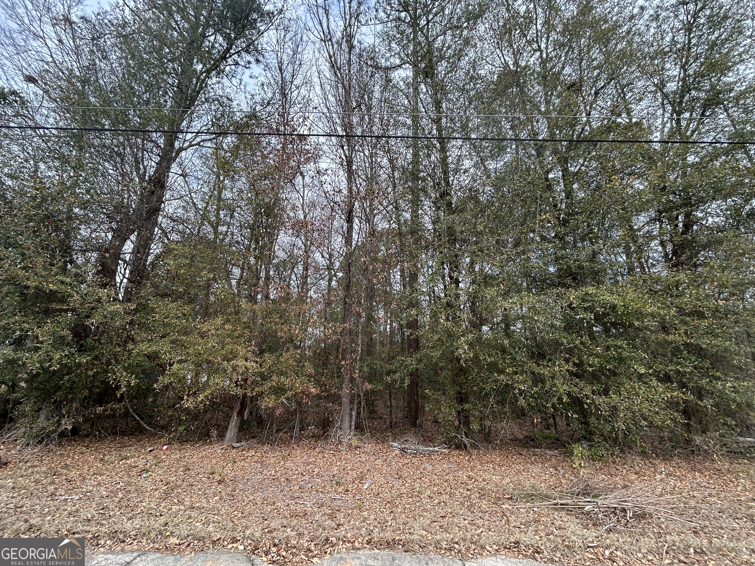 W Williams Street Montezuma, GA 31063 - Photo 2 of 8 a view of outdoor space and tree