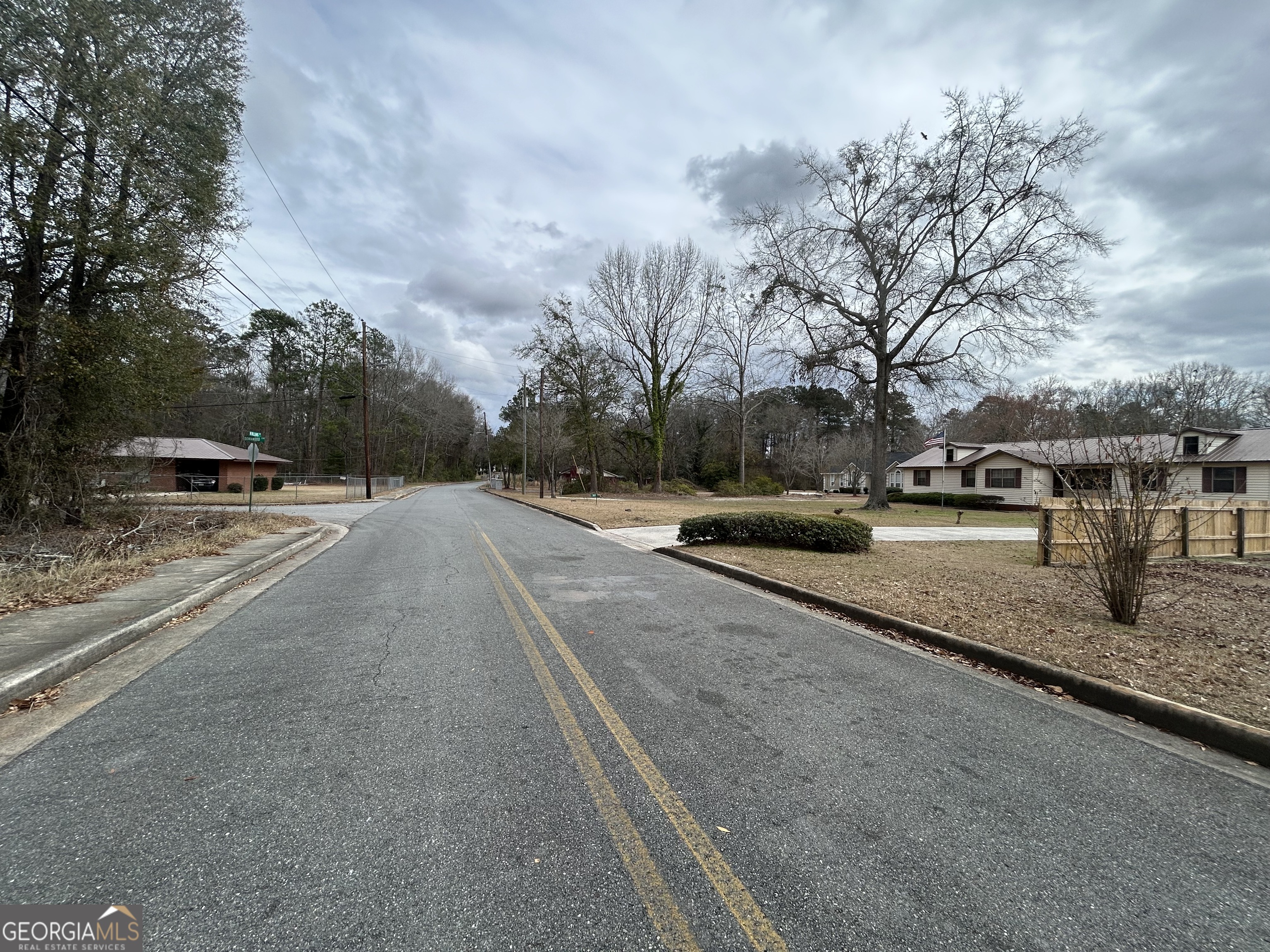 W Williams Street Montezuma, GA 31063 - Photo 7 of 8 a view of road with card parked on side and road