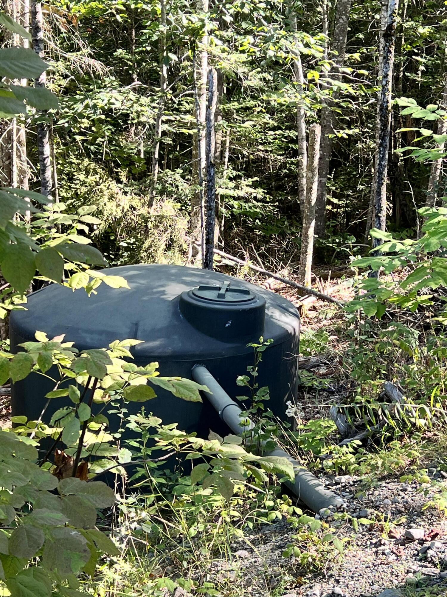 877 Stream Road Moscow, ME 04920 - Photo 31 of 37 IMG_3921