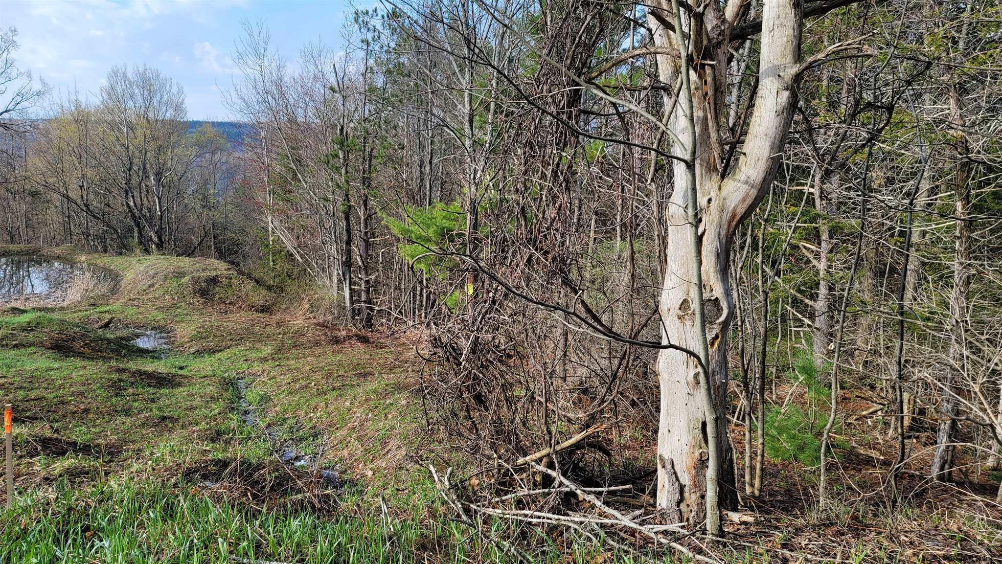 7 High Pine Meadows Road Middleburgh, NY 12122 - Photo 4 of 5 Photo 4