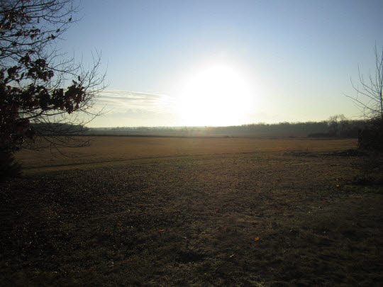 11577 Poplar Grove Road Poplar Grove, IL 61065 - Photo 10 of 11 Gallery Image 10