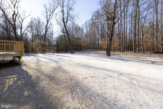 a view of a yard with tree s