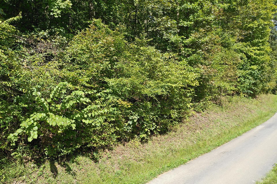 0 Parcel 045.08 Baysinger Road Newport, TN 37821 - Photo 11 of 11