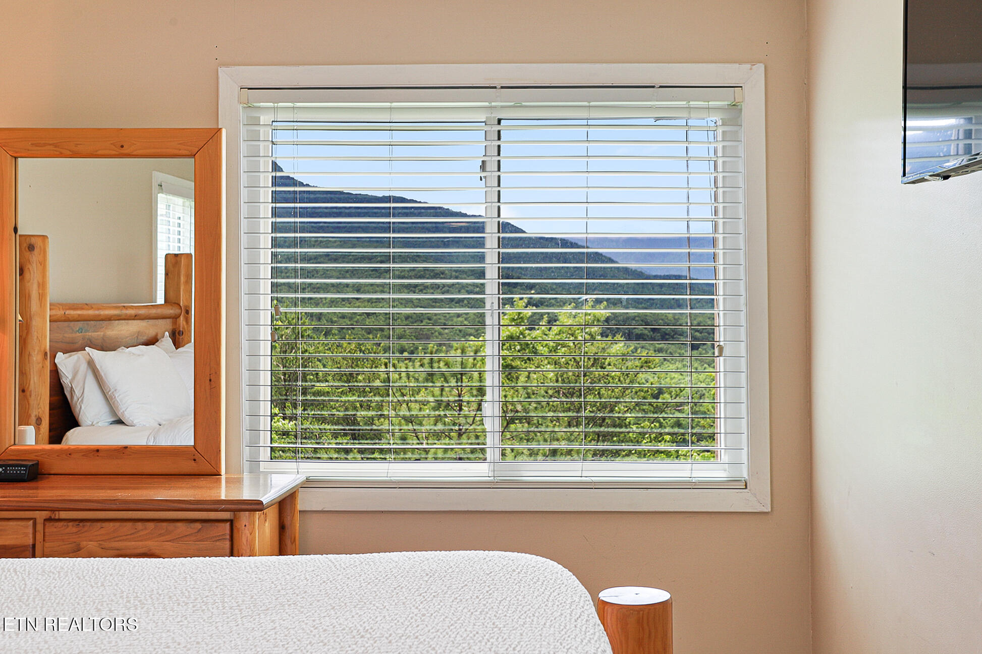 3710 Weber Road, Unit 201B Gatlinburg, TN 37738 - Photo 19 of 52 3710 Weber Rd 201B-115