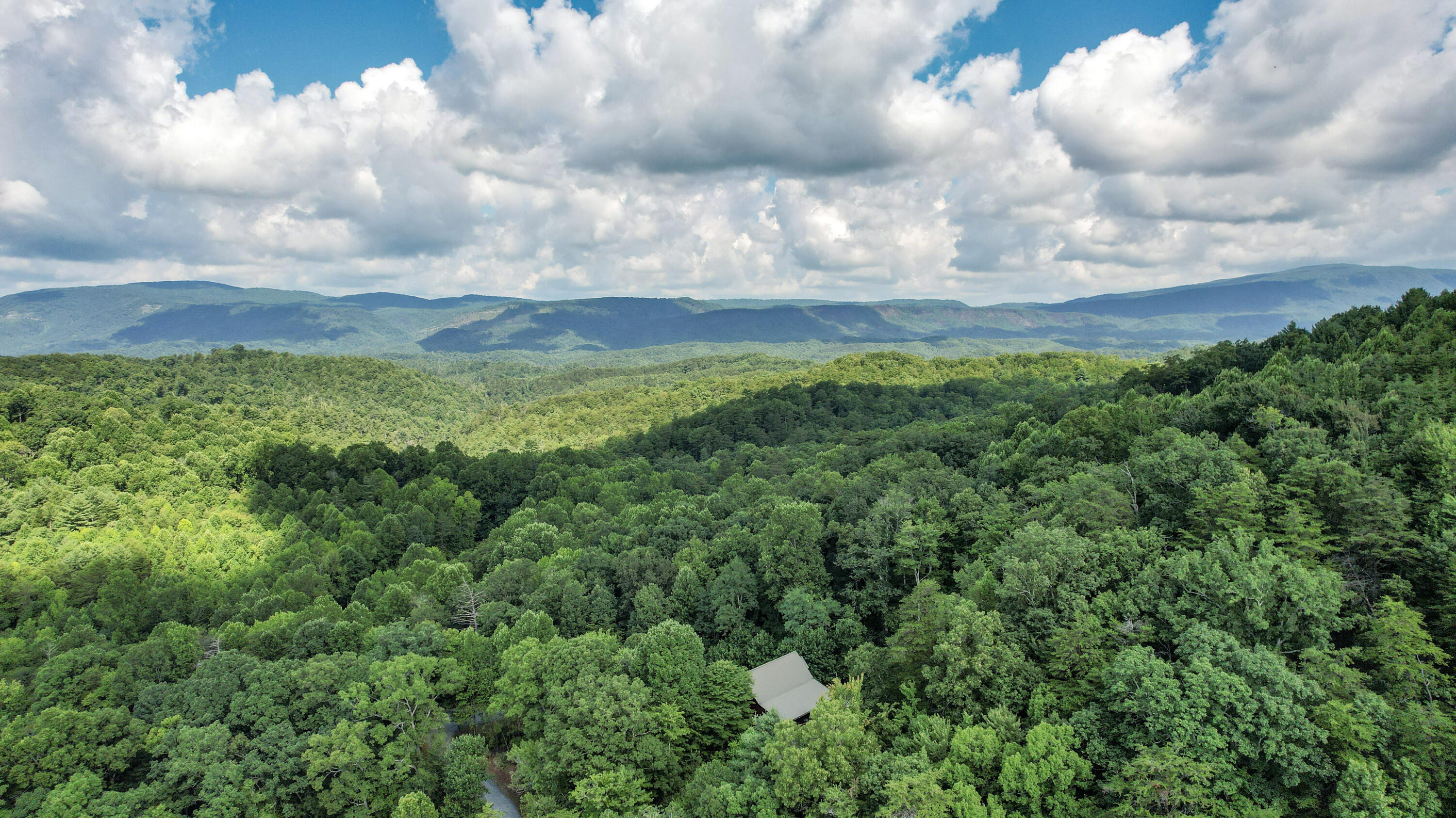 186 Caney Creek Road Reliance, TN 37369 - Photo 82 of 89 83-DJI_0016