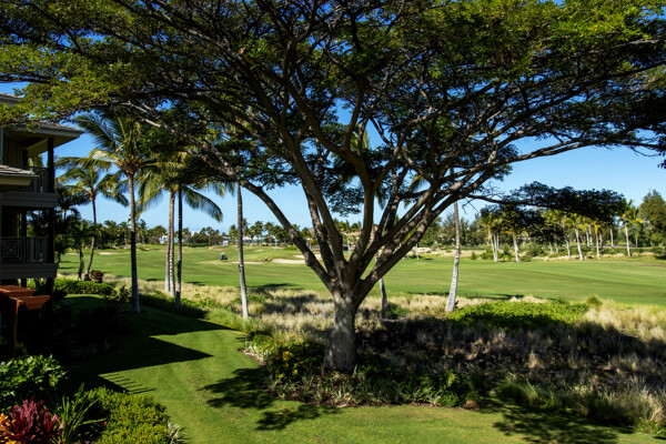 69-180 Waikoloa Beach Drive, Unit O1 Waikoloa, HI 96738 - Photo 27 of 29 a view of a park with large trees