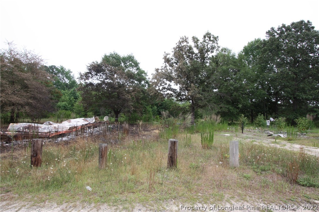 100 Cousin Road Shannon, NC 28386 - Photo 7 of 21 Gallery Image 7