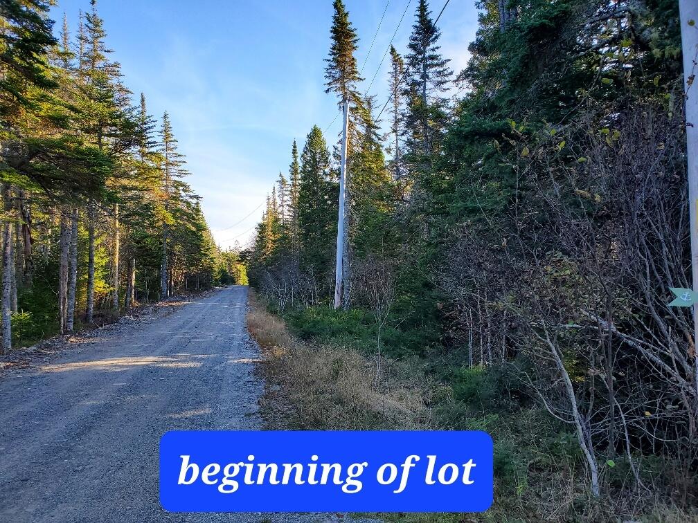 Lot 7 South Ocean Road Machiasport, ME 04655 - Photo 2 of 44 at corner of Hayes driveway