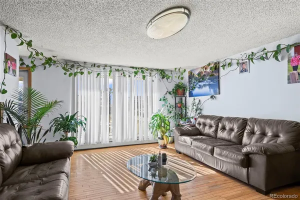 a living room with furniture and a potted plant