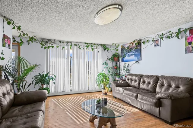 a living room with furniture and a potted plant