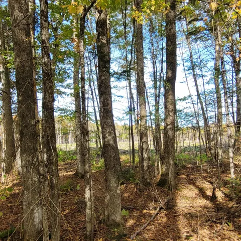 $62,000 | -lot B Kinney Hill Road, West Burke, VT 05871