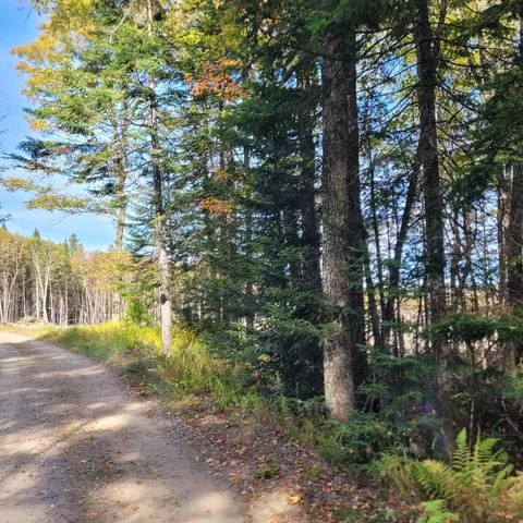 $62,000 | -lot B Kinney Hill Road, West Burke, VT 05871