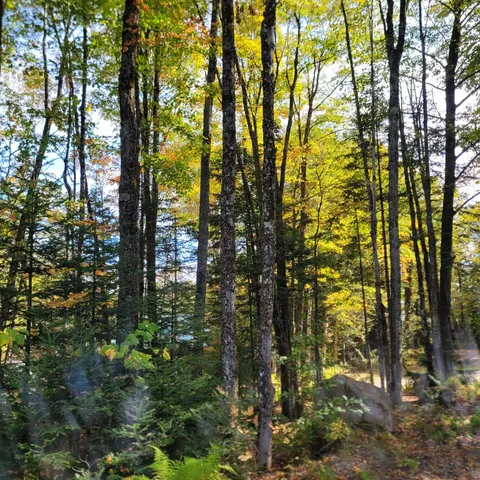 $62,000 | -lot B Kinney Hill Road, West Burke, VT 05871