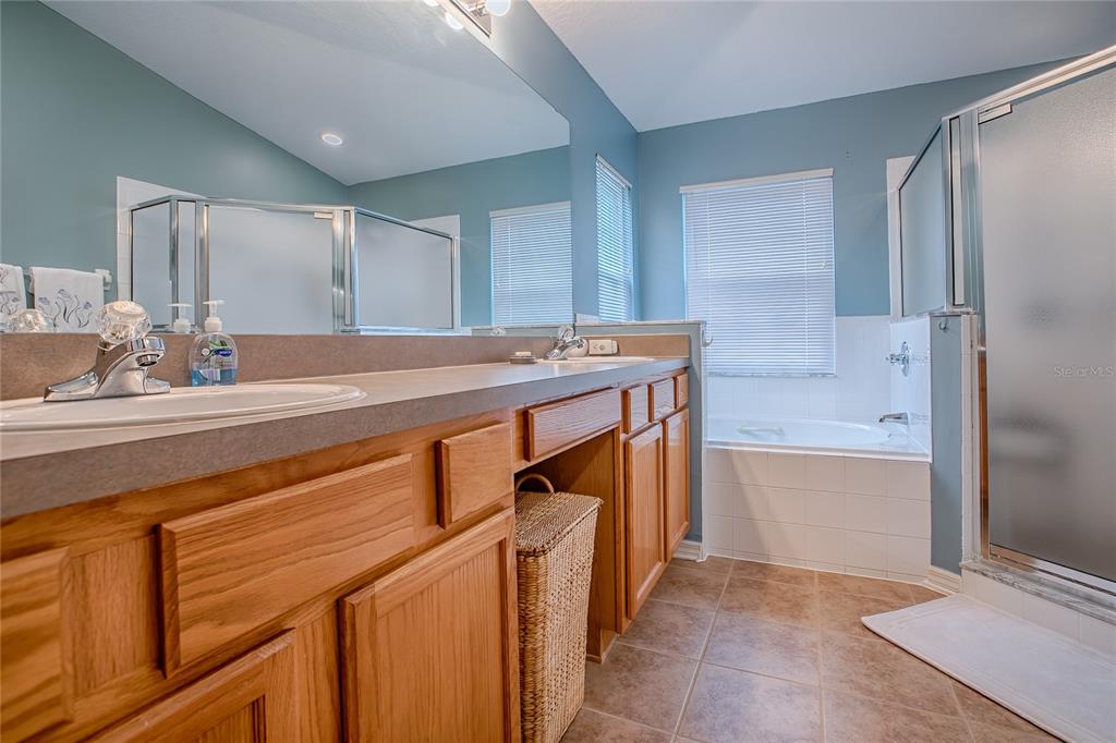 4802 Summerbridge Circle Leesburg, FL 34748 - Photo 34 of 67 a bathroom with a sink a bathtub and a mirror