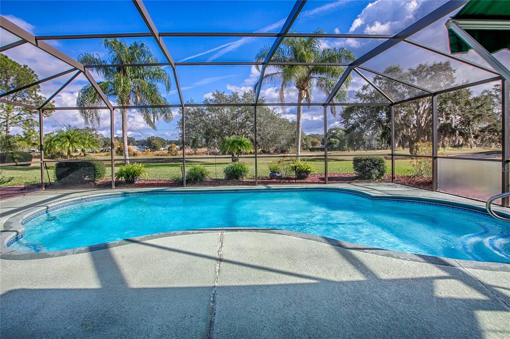 4802 Summerbridge Circle Leesburg, FL 34748 - Photo 39 of 67 a view of a backyard with a small yard