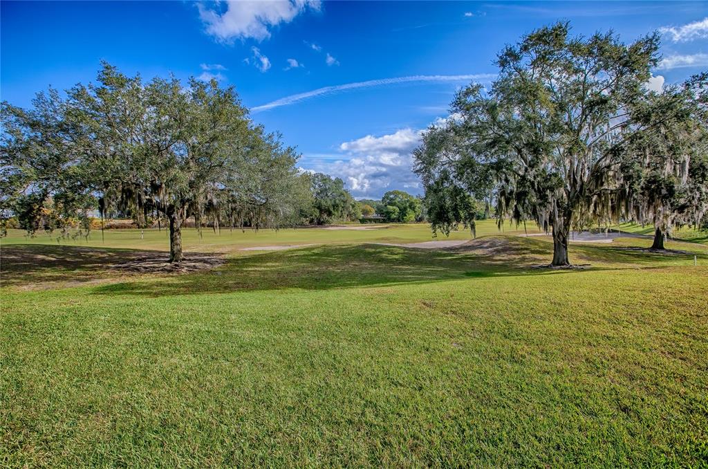4802 Summerbridge Circle Leesburg, FL 34748 - Photo 46 of 67 a view of a park with large trees