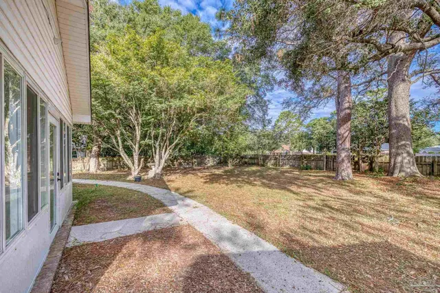 a view of a yard with plants and trees