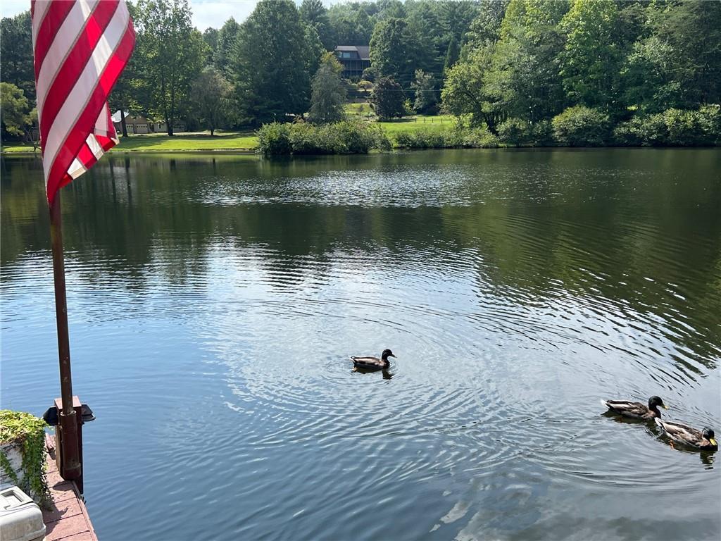 454 High Country Lane Morganton, GA 30560 - Photo 2 of 79