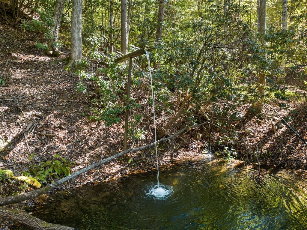 454 High Country Lane Morganton, GA 30560 - Photo 4 of 79 a backyard of a house with lots of green space